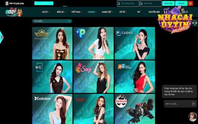 Live casino 8day chơi là mê